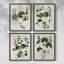 «Forest Foliage on Linen I», reproduction encadrée - ensemble de 4-329362034-329362035