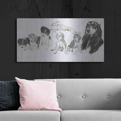" Growing Up Saluki " by Barbara Keith