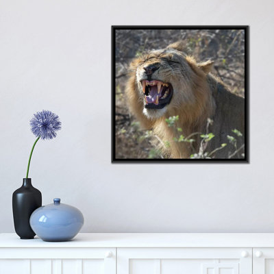 « dents », reproduction de photo sur toile