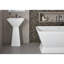 Papion 21" Pedestal Sink