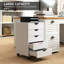 40 cm W 5 -Drawer Wheels / Casters included Mobile Filing Cabinet