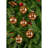 4'' Glass Animals Ball Ornament-1804774315