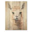 Minimalisme, grunge, alpaga, portrait I - Alpacas, art mural sur bois de pin naturel-954071473