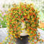 Faux fleurs artificielles pour la décoration de la maison 5 fourchettes murales de mariage Décoration de fleurs artificielles