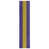 Baltimore Throwback Football Purple/Gold