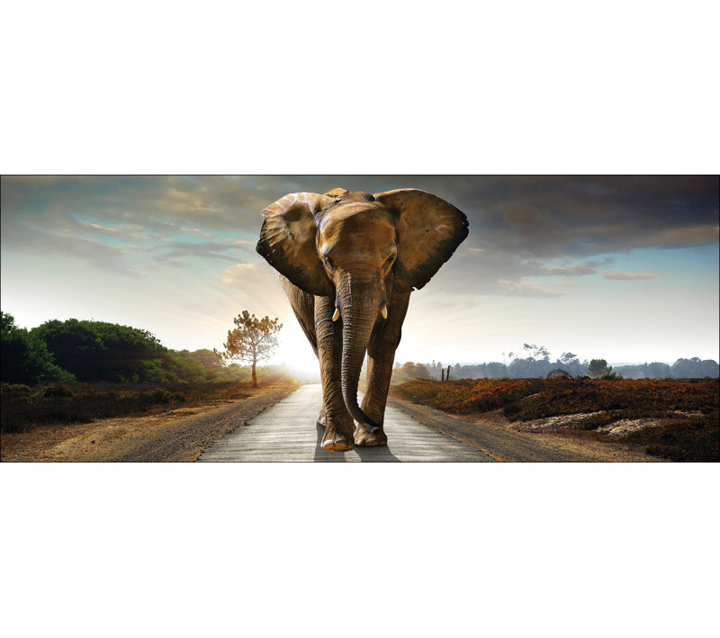 No Frame Print on Glass, 50 cm H x 125 cm W x 1.4cm D