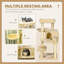 Janessa 100cm H Cat Tree