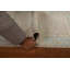 Tapis unique en laine beige 2 pi 0 po x 4 pi 1 po One Age