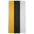 Pittsburgh Gold/Black/White