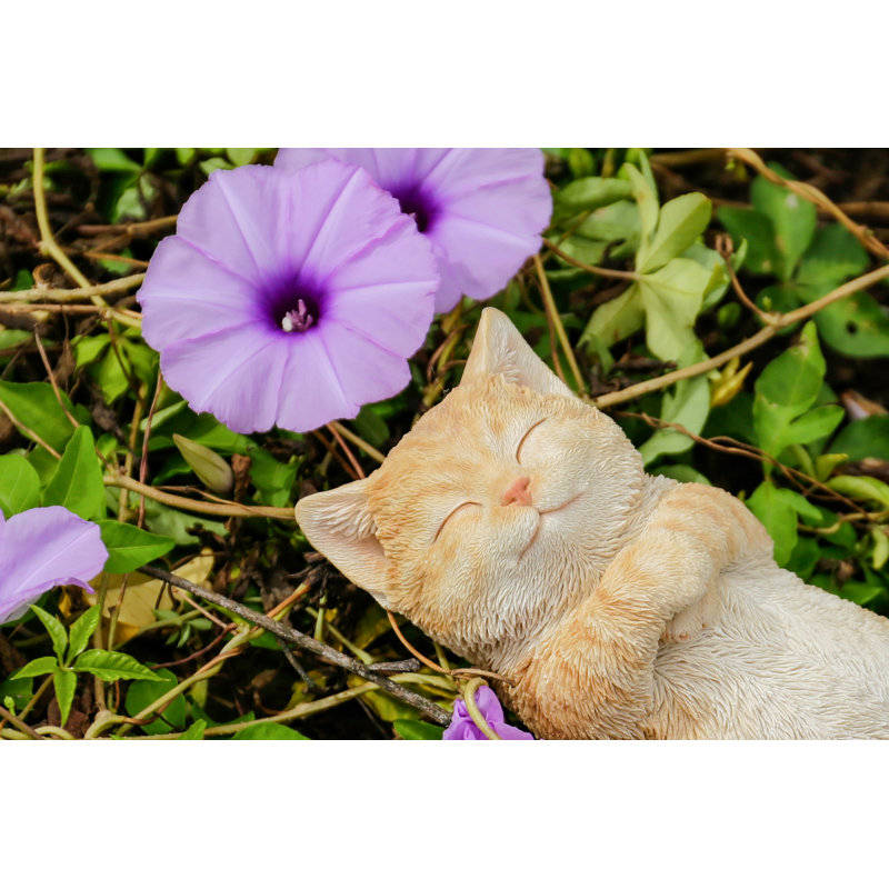 Sleeping Cat, Orange
