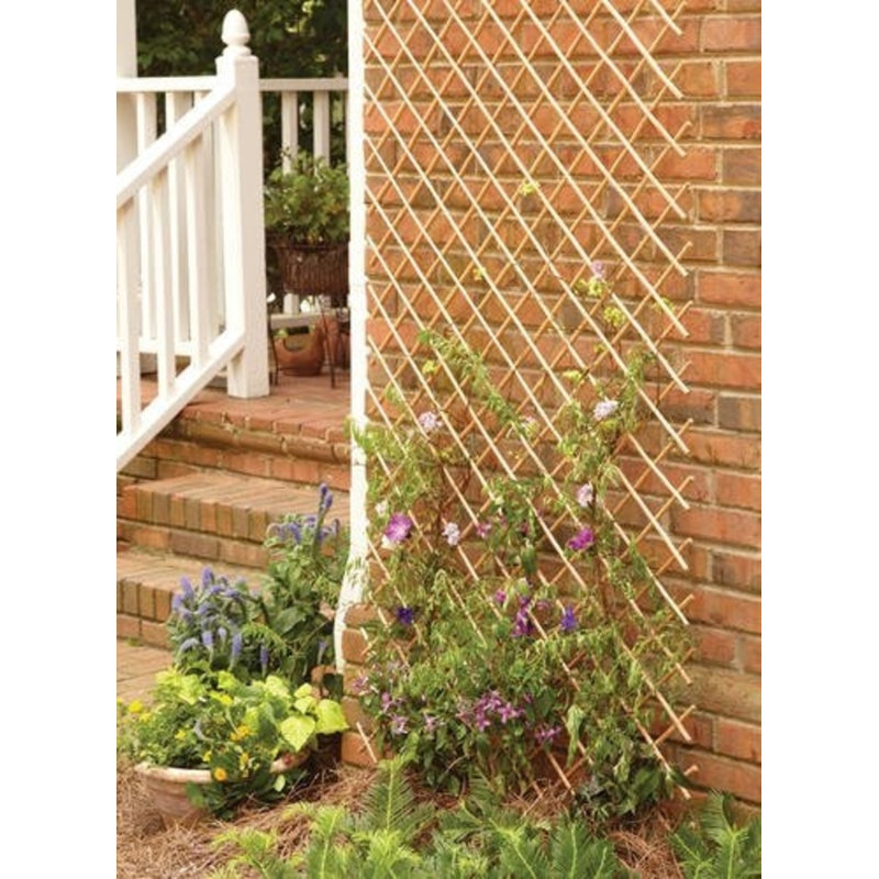 Treillage extensible en bois de saule pelé, H 36 po x l 72 po x P 1 po