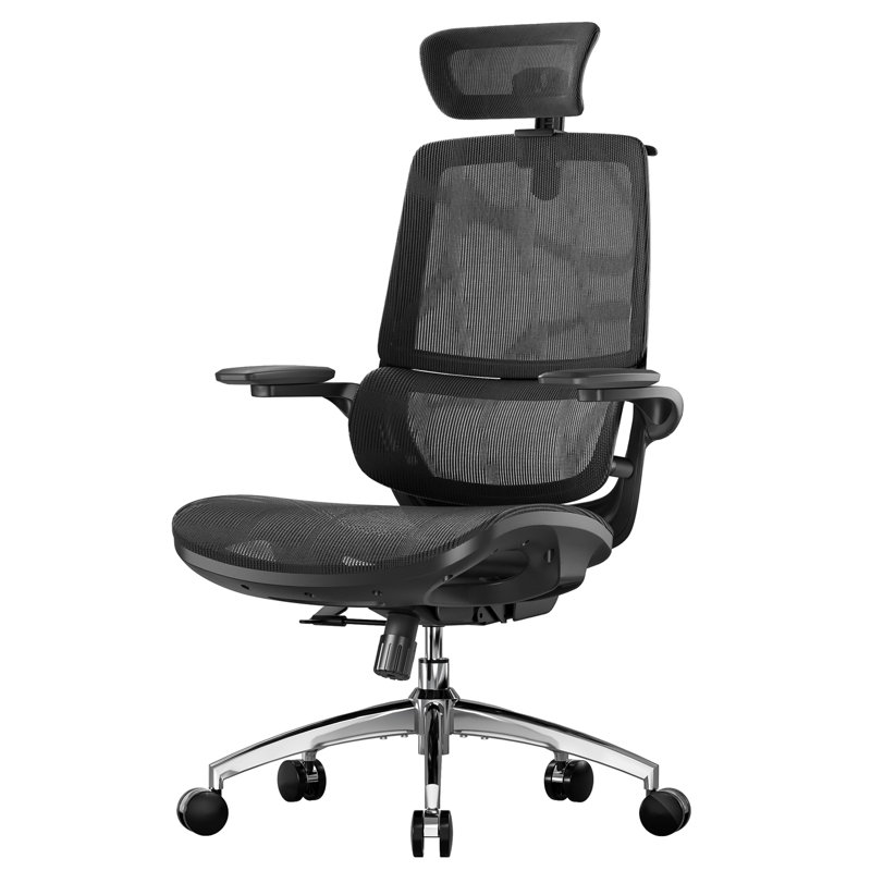 Mesh Office Chair, with Adjustable 3D Folding armrests, Dual-back Design, Black, Black