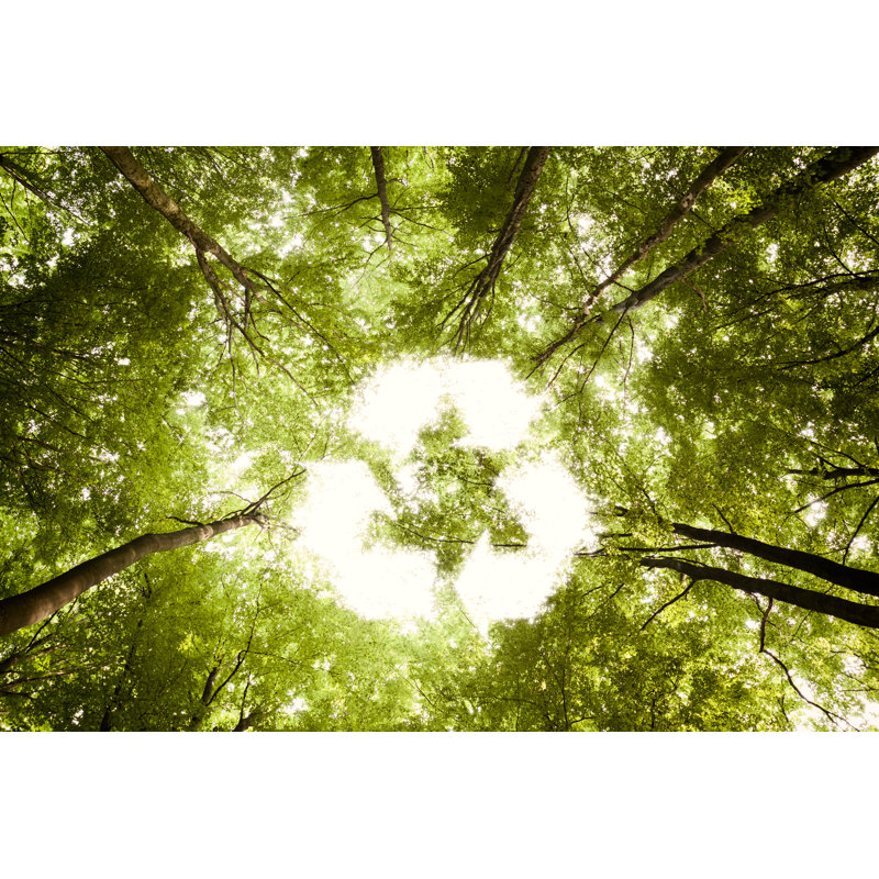 Recycling Symbol by ThomasVogel - Wrapped Canvas Print, 20cm H x 30cm W x 3.8cm D