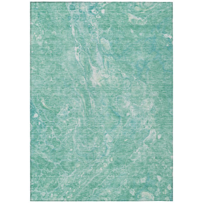 Radric Washable Indoor / Outdoor Rug