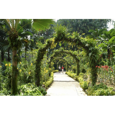 Orchid Gardens Walk - Photographie sur toile tendue