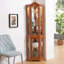 Armoire vitrée pour rangement en coin-1087669495