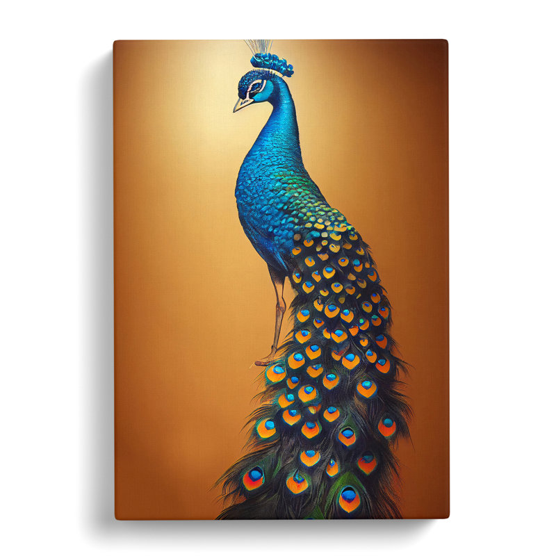 Shimmering Peacock - Wrapped Canvas, 76cm H x 50cm W x 3cm D