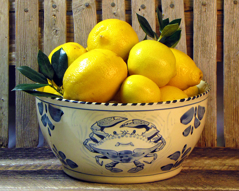 Breakwater Bay Fruit Bowl