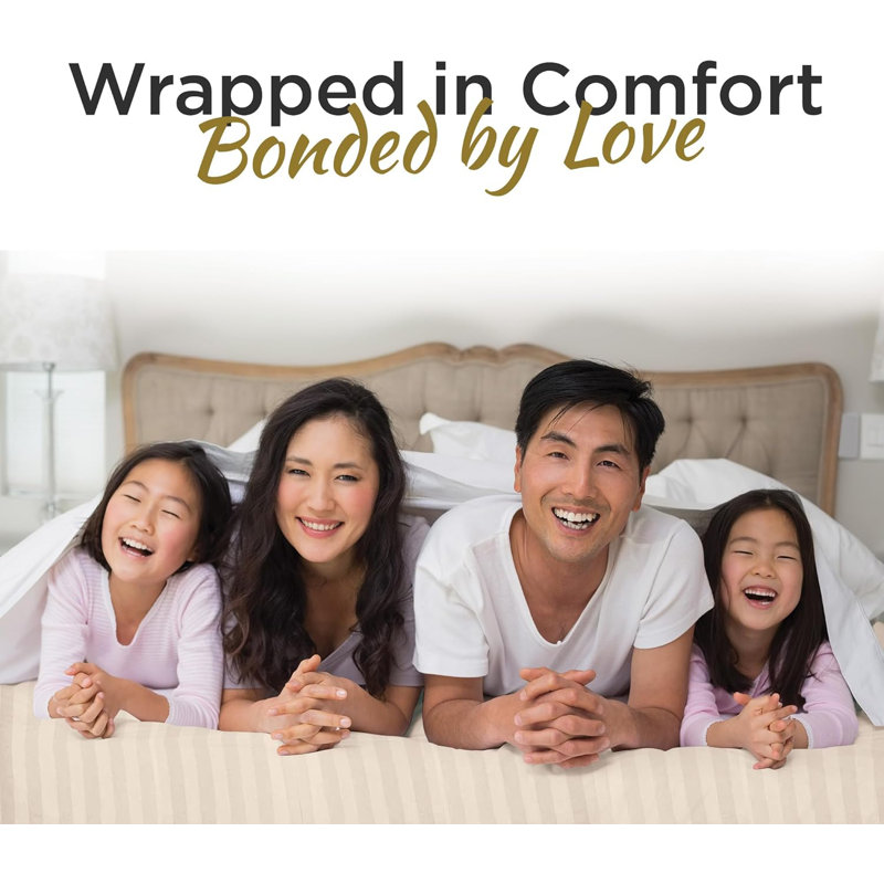 100% Microfiber Double Brushed Sheet Set - Extra-Soft & Wrinkle-Free - 15" Deep Pockets - Ideal for Dorms, Hospitals & Split Beds - 3 PC Set