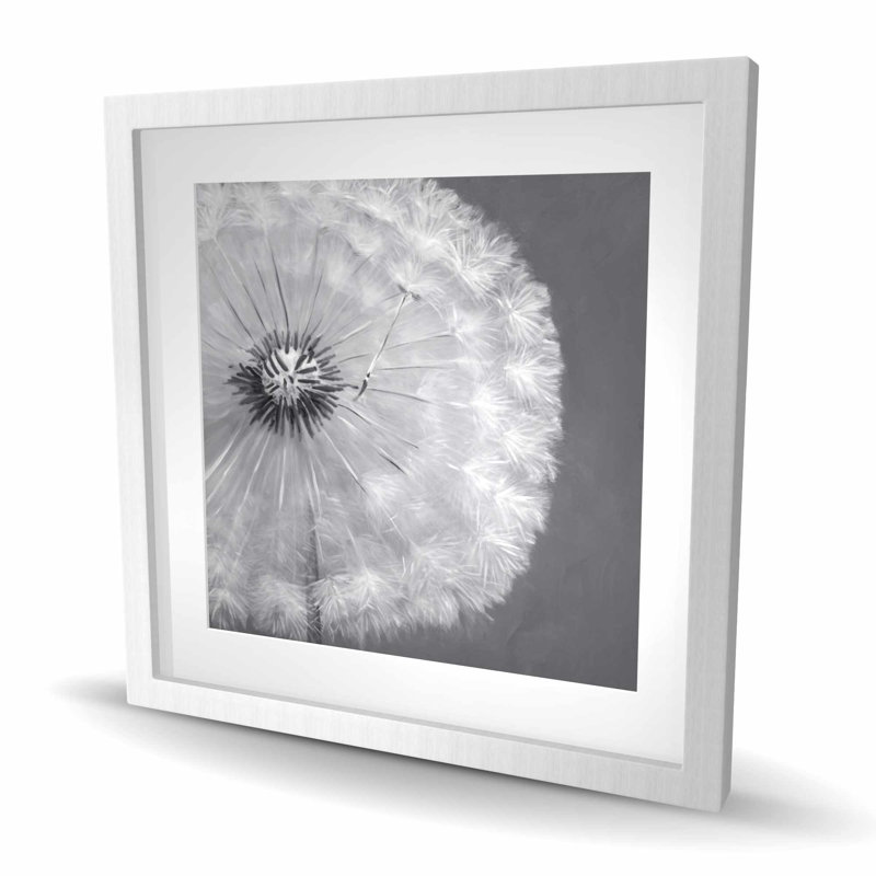 Dandelion Puff Ball - Hyperrealist White Framed Print Decor