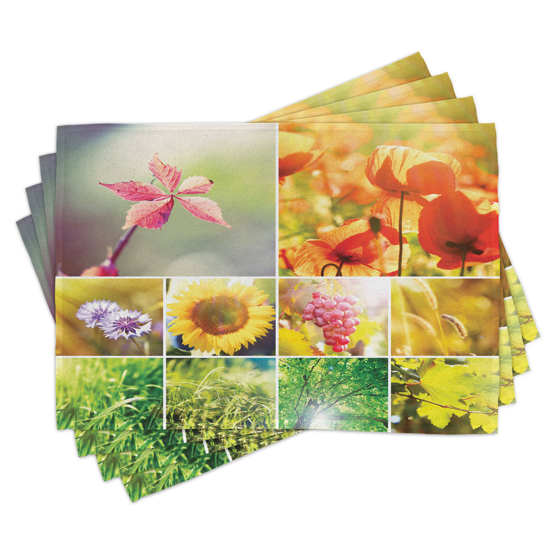 Platzdeckchen 4er-Set, Blumen-Landschaftsansicht, Multicolor