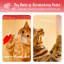 Arbre à chat 102 "Tenley-1236906263