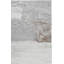 Tapis d'intérieur Adirondack-124942943
