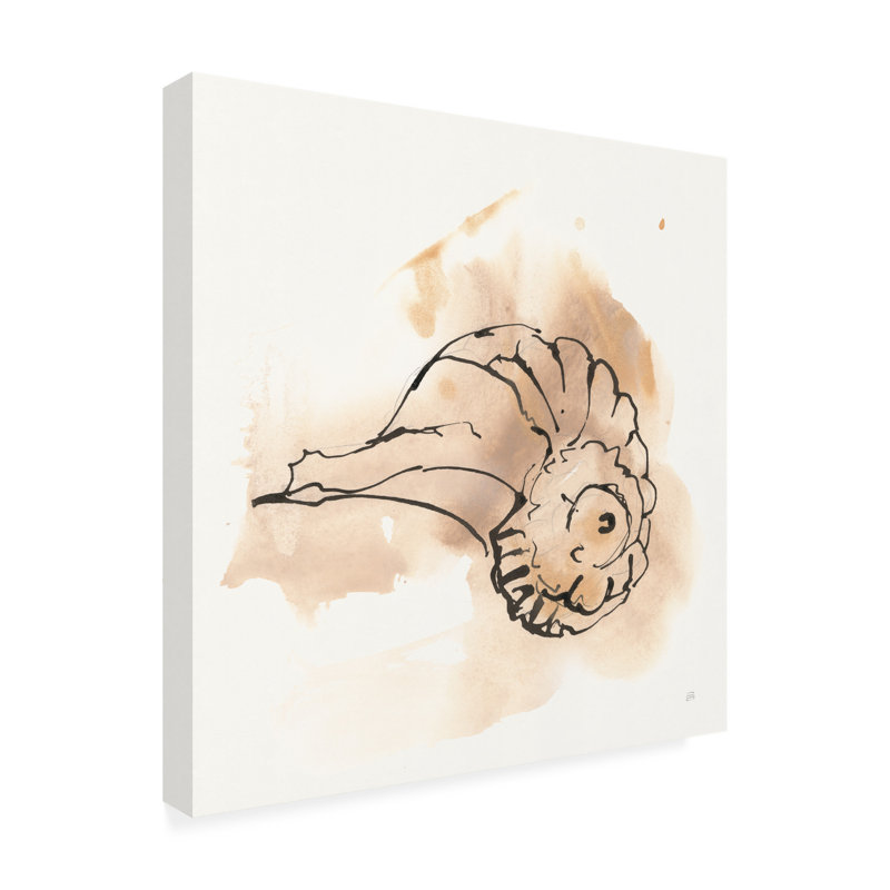 Art mural sur toile «Bachely Conch II» par Bachelo, H 14 po x l 14 po