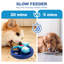 Jouets pour chiens