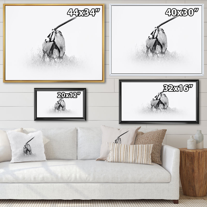Gemsbok africain en noir et blanc - reproduction de dessin sur toile, H 24 po x l 32 po x P 1 po, Cadre flottant noir