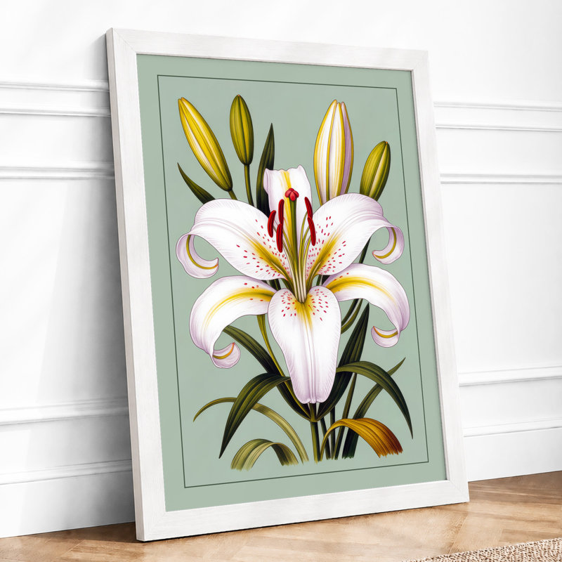 White Lily Study Botanical - Print, A2 - 59.4 x 42.0 cm, White