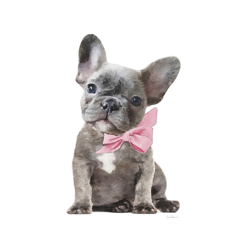 Frenchie X - Wrapped Canvas Art Prints, 76cm H x 51cm W