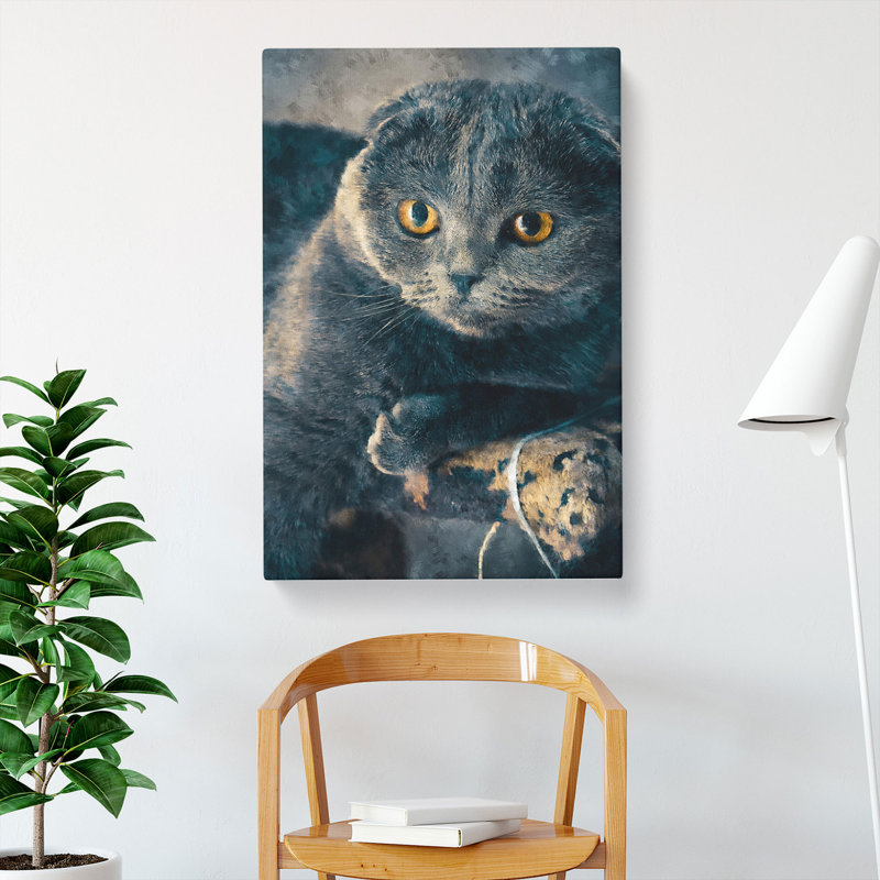 Scottish Fold Cat - Wrapped Canvas, 50cm H x 35cm W x 3cm D