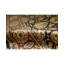 Hand-Knotted High-Quality Area Rug