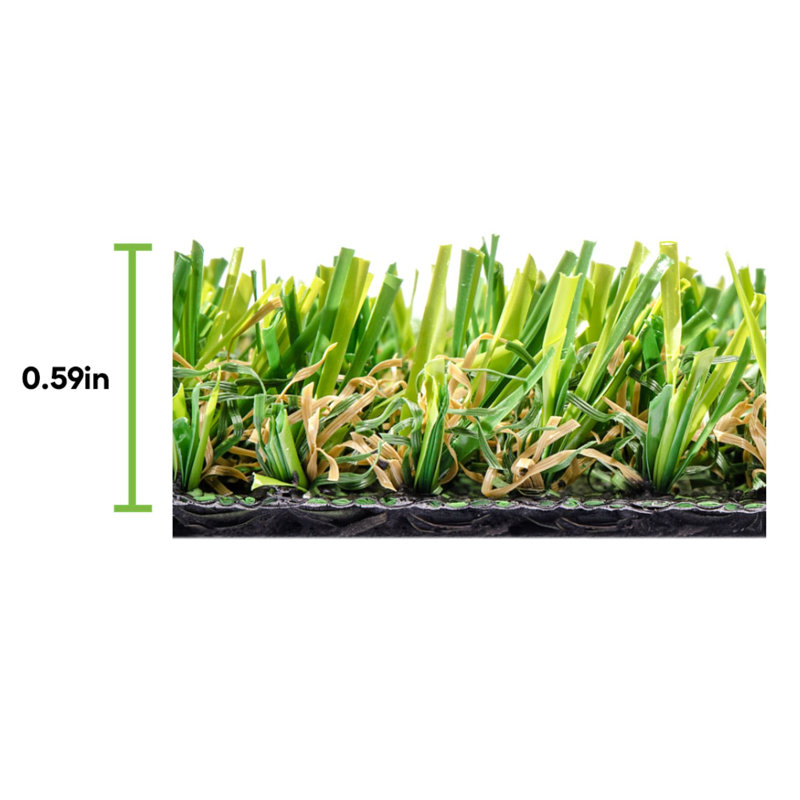Tapis économique 6X8