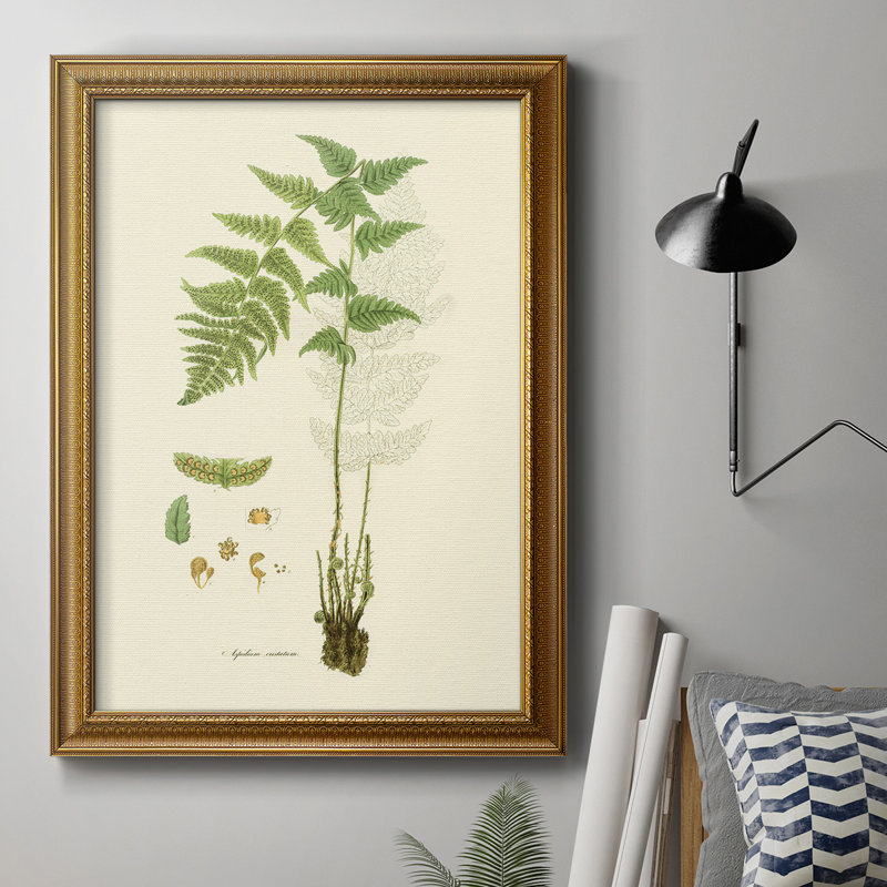 Toile encadrée de qualité supérieure «Curtis Ferns I» - prête à être accrochée, L 18 po x H 27 po