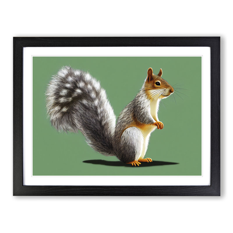 Beauteous Squirrel - Single Picture Frame Print, Black Framed, 46cm H x 64cm W x 2cm D