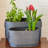 French Country Style Oval Planters, Set Of 2