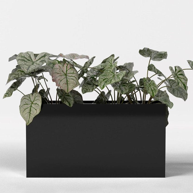 Greenline Fiberglass Alice Large Indoor/Outdoor Rectangle Planter -, 32" H x 16" W x 36" D, Gloss Black