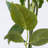 Silk Rose Arrangement-1168087026