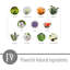 Porte-encens Pointer World Menagerie-1060904148-1060904146
