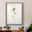 Mauve Garden Flowers VI - peinture encadrée-955008962-955008963