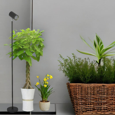 Iuza 75'' LED Task Floor Lamp