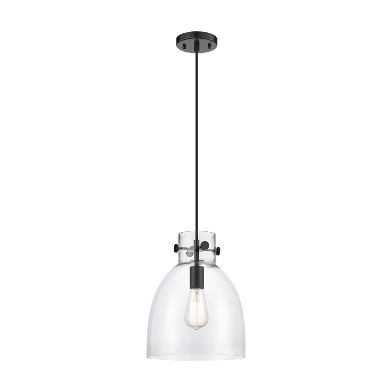 Luminaire suspendu à 1 lumière Badgett, Clair, Noir mat
