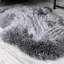 1 tapis en peau de mouton véritable 2 x 3 pi (gris)