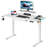 Curtia 140Cm W  Electric Height Adjustable  Desk with Charging Station & LED Light