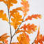 6 pi Arbre d'automne