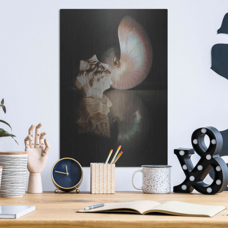 «Pearl Nautilus» par Cecile Baird, H 16 po x l 12 po