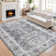 Tramone Oriental Indoor Rug