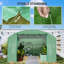 Tunnel Green House-107802980